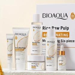 BIOAQUA KIT RICE RAW PULP